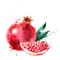 pomegranate Bb2 - Free PNG Animated GIF