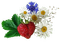 Tournesol94 fruit - bezmaksas png animēts GIF
