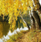 Rena Herbst Hintergrund Background - gratis png geanimeerde GIF