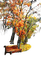 arbres automne - Nemokamas animacinis gif
