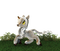 unicorn baby, yksisarvinen - δωρεάν png κινούμενο GIF