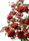 branch _automne_ autumn_ leaves_feuille_Blue DREAM 70 - zdarma png animovaný GIF