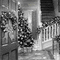 Y.A.M._New year Christmas background black-white - GIF animate gratis GIF animata