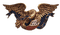 agila bandera americana  dubravka4 - Free PNG Animated GIF