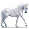 horse - ingyenes png animált GIF