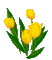 kwiaty - Безплатен анимиран GIF анимиран GIF