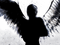 dark angel - Free PNG Animated GIF