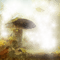 mushroom - безплатен png анимиран GIF