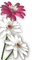 Kaz_Creations Deco  Flowers Flower Colours - ilmainen png animoitu GIF