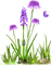 Flores - gratis png animerad GIF