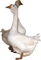 Kaz_Creations Duck - besplatni png animirani GIF