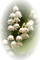 minou-flowers-Lily of the Valley-Mughetto-fiori-Muguet-fleurs-blommor-liljekonvaljer - Free PNG Animated GIF