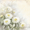 soave background animated vintage texture flowers