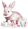 soave deco easter eggs flowers bunny pink  green - zdarma png animovaný GIF