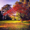 autumn background - GIF animasi gratis GIF animasi