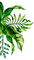 Листья - png ฟรี GIF แบบเคลื่อนไหว
