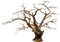 tronco - безплатен png анимиран GIF