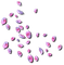 Pink Petals - PNG gratuit GIF animé
