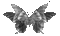 dulcineia8 borboletas - Δωρεάν κινούμενο GIF κινούμενο GIF