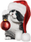 christmas cat by nataliplus - бесплатно png анимированный гифка
