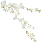 Flower Branch - PNG gratuit GIF animé