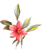 dolceluna pink asian flower