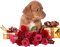 Y.A.M._Valentine's Day. - png gratis GIF animasi