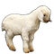 lamb - nemokama png animuotas GIF