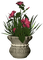 vase - besplatni png animirani GIF