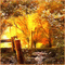 Background Autumn - GIF เคลื่อนไหวฟรี GIF แบบเคลื่อนไหว