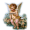 angel dubraka4 - besplatni png animirani GIF