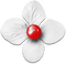 soave deco flowers scrap white red - 免费PNG 动画 GIF