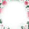soave frame summer flowers tropical pink green - 免费PNG 动画 GIF
