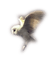 owl - besplatni png animirani GIF
