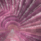 fo rose pink - Ilmainen animoitu GIF animoitu GIF