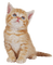 Chat - Free PNG Animated GIF