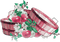 soave deco apple pink green - безплатен png анимиран GIF
