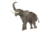 aze elephant - Darmowy animowany GIF animowany gif