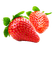 erdbeer milla1959 - δωρεάν png κινούμενο GIF