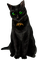 Black.Cat.Green.Eyes - Free PNG Animated GIF