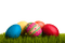 Pâques œufs décor_Easter eggs decor-tube