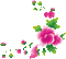 pink flower gif corner pink fleur coin - GIF animé gratuit GIF animé