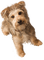 Kaz_Creations Dog Pup - ücretsiz png animasyonlu GIF