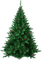 ✶ Christmas Tree {by Merishy} ✶ - δωρεάν png κινούμενο GIF