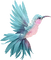 oiseau.Cheyenne63 - Free PNG Animated GIF