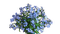 kwiaty - zadarmo png animovaný GIF
