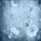 blue background autumn kikkapink flowers - PNG gratuit GIF animé