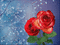 Fond roses rouges sur bleu - Free animated GIF Animated GIF