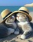 Katze - δωρεάν png κινούμενο GIF
