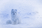 hiver - Δωρεάν κινούμενο GIF κινούμενο GIF